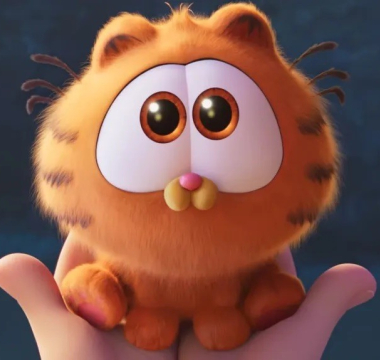 The Garfield Movie The Garfield Movie