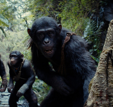 Kingdom of the Planet of the Apes Kingdom of the Planet of the Apes