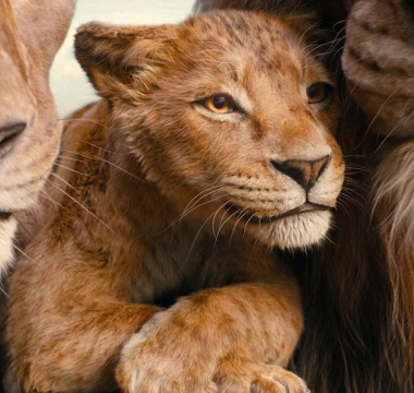 Mufasa: The Lion King