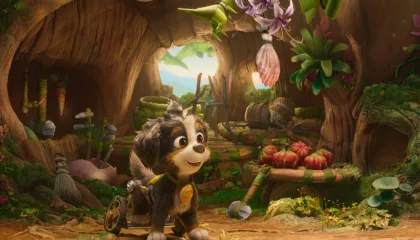 Paw Patrol 3