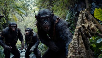 Kingdom of the Planet of the Apes