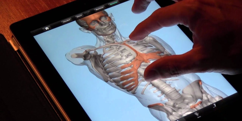 anatomy learning app